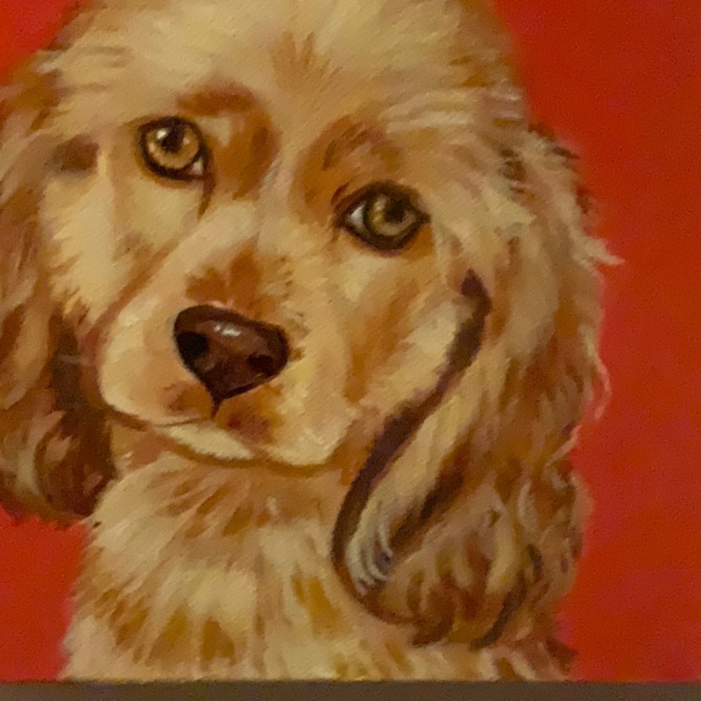 Meet your Posher, David